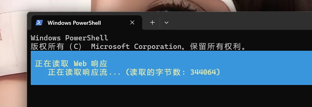 MAS（微软激活脚本）